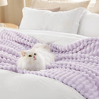 Bedsure Soft Throw Blanket for Couch Decor Gifts Lavender Fog 50"x60"