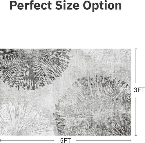 3 x 5 Rug Small Non Slip Area Rug Ultra Soft Machine Washable Low Pile Modern Abstract Dahlia Indoor Carpet Rugs for Bedroom Living Room Entryway Kitchen Bedside, Grey