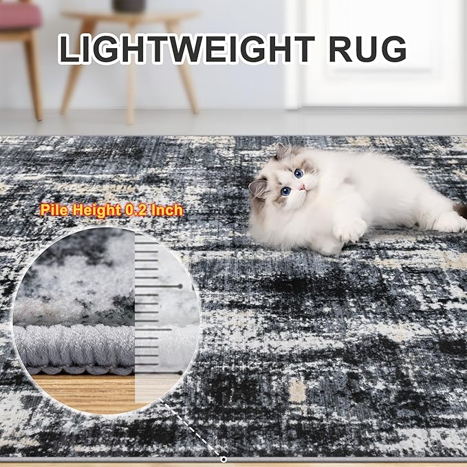PLHXFR Area Rug Living Room: 4x6 Abstract Washable Carpet Black Gold