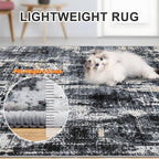 PLHXFR Area Rug Living Room: 4x6 Abstract Washable Carpet Black Gold
