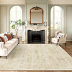 Soalmost Washable Area Rug 8x10 Large Soft Living Room Rugs Beige/Ivory