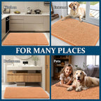 OLANLY Dog Door Mat for Muddy Paws 45x27, Super Absorbent Chenille Mud Mat