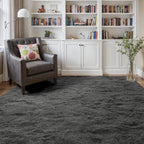 4x6 Ft Shag Rugs for Bedroom Living Room, Ultra Soft Fluffy Furry Area Rugs for Indoor Floor, Aesthetic Carpet for Kids Home Decor (Grey)