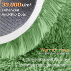 6x9 Area Rug for Living Room: Fluffy Shag Soft Washable Rugs Large Fuzzy Plush Indoor Carpet for Bedroom Nursery Playroom Kids Girls Boys Room (Sage Green, 6'x9')