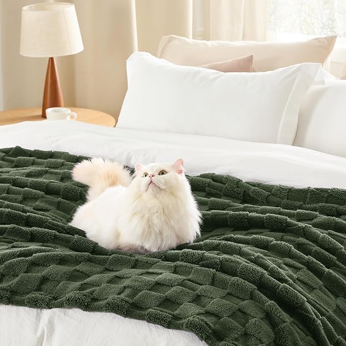Bedsure GentleSoft Twin Blanket for Bed Bronze Green - Super Soft Cozy Spring Blankets for Kids Girls, Cute Fuzzy Fleece Throws for Bedroom Couch, 60x80 Inches