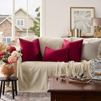GIGIZAZA Burgundy Velvet Pillow Covers 18x18 Decorative Pillows Pack of 2