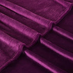 TASTHROW Large Flannel Fleece Throw Blanket, 50×70 Inch - Cozy Lightweight Thick Blanket - All Seasons Suitable for Women, Men and Kids (Two Pack, Purple)