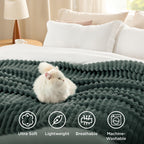 Bedsure Soft Twin Blanket for Bed Decor Gifts Mallard Green 60"x80"