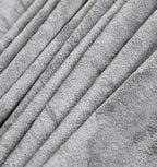 TASTHROW Large Flannel Fleece Throw Blanket, 60×80 Inch - Cozy Lightweight Thick Blanket - All Seasons Suitable for Women, Men and Kids (Light Grey)
