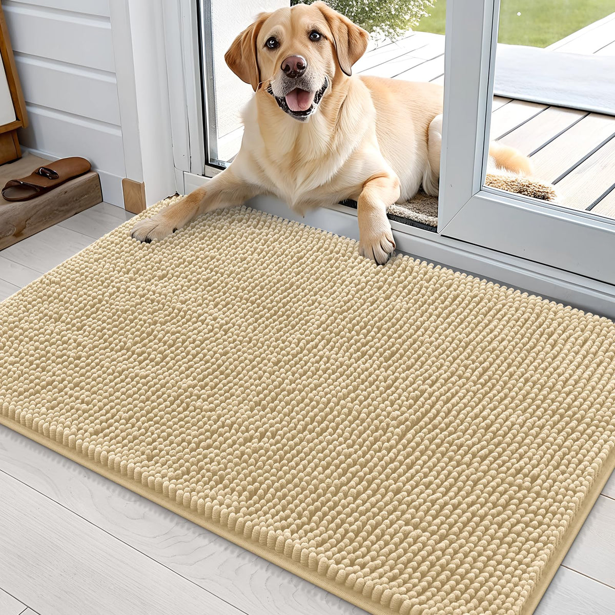 OLANLY Dog Door Mat for Muddy Paws 35x24, Super Absorbent Chenille Mud Mat