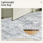 Area Rugs 4x6 for Living Room, Vintage Washable Rugs for Dining Room, Kitchen, Non-Slip Area Rug Grey