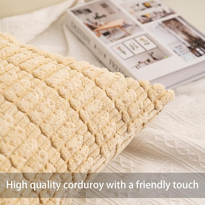 Aegero Pack of 2 Corduroy Decorative Throw Pillow Covers 20x20 Inch, Beige