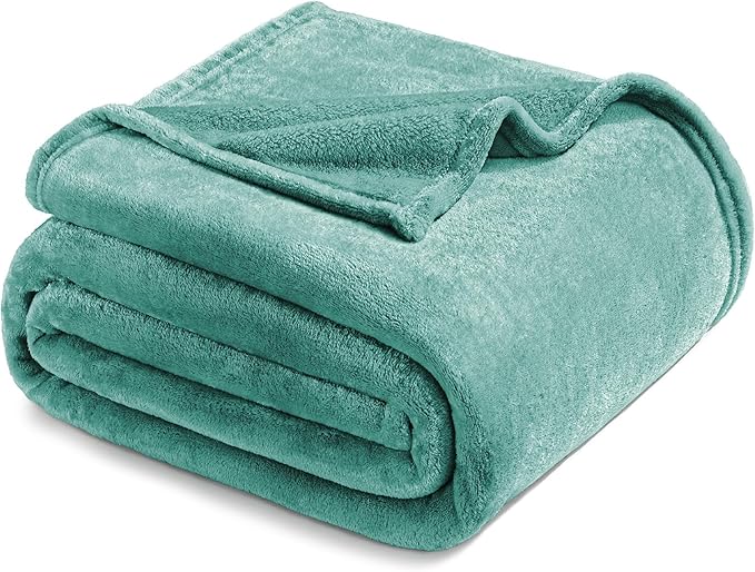Exclusivo Mezcla Fleece Blankets Queen Size for Bed, Super Soft and Warm, All Season, Cozy, Plush, Lightweight, 90x90 Inches, Celadon