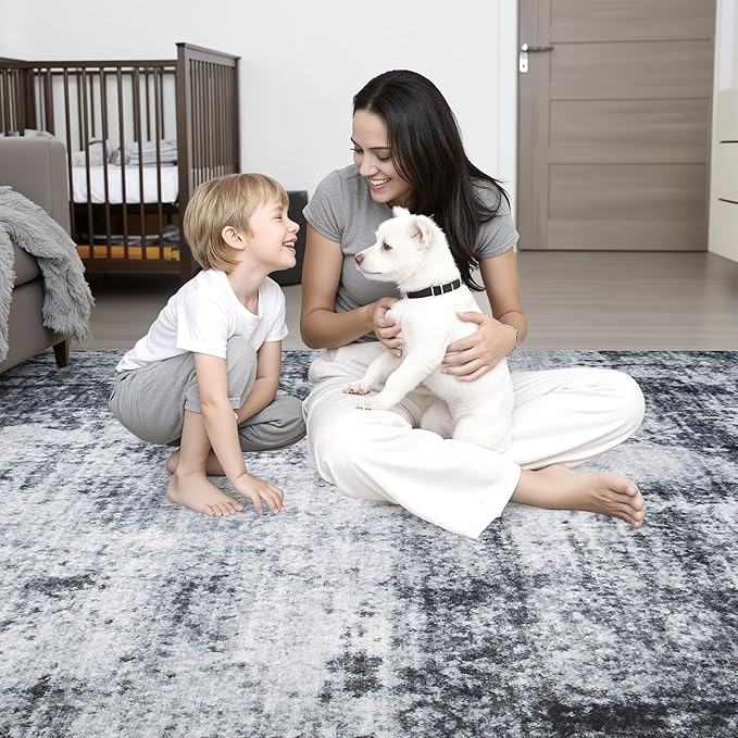 FXRHLP Area Rug Living Room: 4x6 Modern Washable Soft Carpet Dark Black