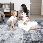 FXRHLP Area Rug Living Room: 4x6 Modern Washable Soft Carpet Dark Black