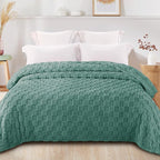 Exclusivo Mezcla King Size Flannel Fleece Blanket, Super Soft and Warm Lightweight Checkered Pattern Blankets for All Seasons, 90x104 Inches, Celadon