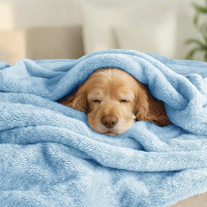 Exclusivo Mezcla Fuzzy Plush Fleece Bed Blanket King Size, Light Blue
