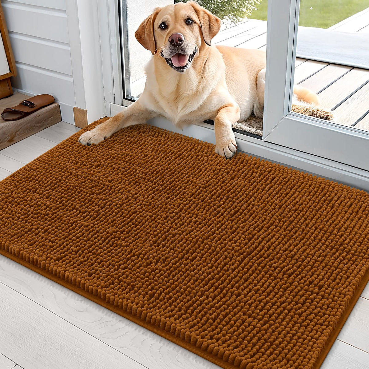 OLANLY Dog Door Mat for Muddy Paws 36x24, Super Absorbent Chenille Mud Mat
