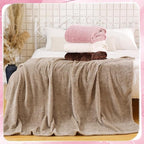 Newwiee 4 Pcs Flanne Fleece Throw Blanket for Bed Couch Large 3D Waffle Textured Soft Blanket Winter Warm Lightweight No Shedding No Pilling Decorative Throw, 50x60 Inch(Graceful Color)