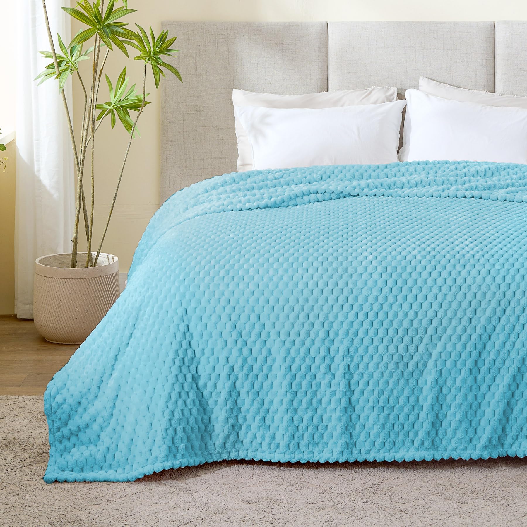 BEDELITE Light Blue Throw Blanket for Couch, Soft Gifts for Women, 50 * 60