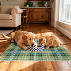 Buffalo Outdoor Rug - 28" x 43" Front Door Mat Indoor Outside Entrance Non-Slip Washable Outdoor Mat Green Teal Plaid Tartan Rug for Entryway Kitchen Bedroom Layered Doormat for Front Porch