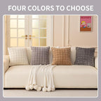 Velvet Throw Pillow Covers(Pack of Two, Light Grey) 22×22 Inch Decorative Pillows Cover Neutral Soft Chenille Couch Pillows with Zipper Aesthetic for Living Room and Bedroom
