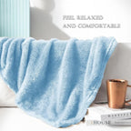 Exclusivo Mezcla Fuzzy Plush Fleece Bed Blanket King Size, Light Blue