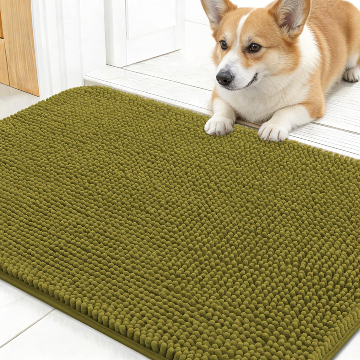 OLANLY Dog Door Mat for Muddy Paws 24x16, Super Absorbent Chenille Mud Mat