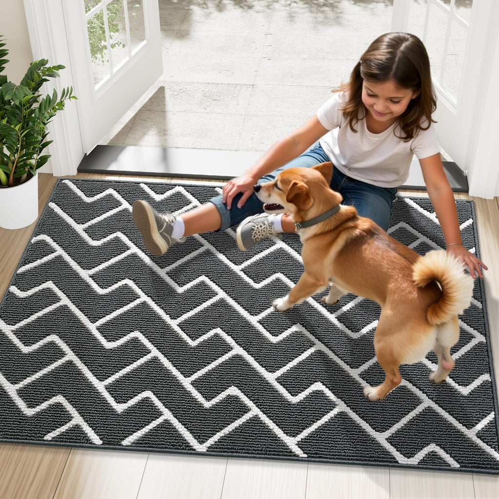 OLANLY Front Door Mat, Non-Slip Rubber Backing, Dirt Resistant and Absorbent, Washable, Easy to Clean Low-Profile Indoor Doormat for Back Door, Entryway, Inside Entrance, 40x32, Charcoal