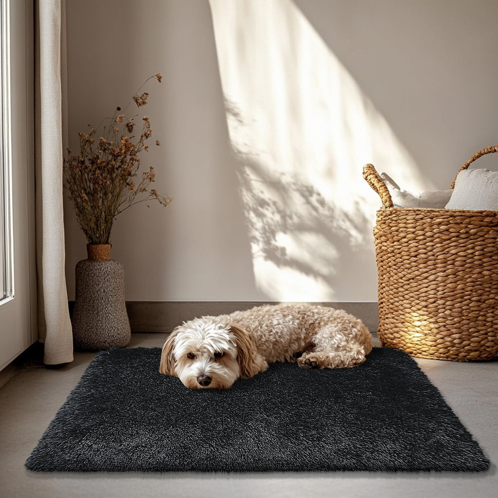 yulidayang 2x3 Area Rugs for Bedroom,Black Small Fluffy Shag Rug