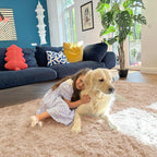 OLANLY 5x9 Machine Washable Large Area Rugs for Living Room, Bedroom, Soft Fluffy Shaggy Bedside Rug, Indoor Floor Carpet for Kids Girls and Boys, Dorms, Nursery, Home Decor Aesthetic, Beige