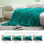 Exclusivo Mezcla Fleece Queen Size Blanket for Bed, 90x90 Inches Soft Cozy Jacquard Flannel Blankets, Lightweight Fuzzy Plush for Women, Teal