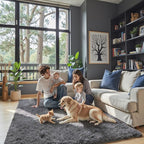 Rugs for Living Room 6x9, Alfombras para Salas Shag Large Plush Soft Area Rug, Shaggy Carpets for Bedroom, Kids Boys Girls Home Decor Aesthetic (Dark Grey, 6 x 9 Feet)