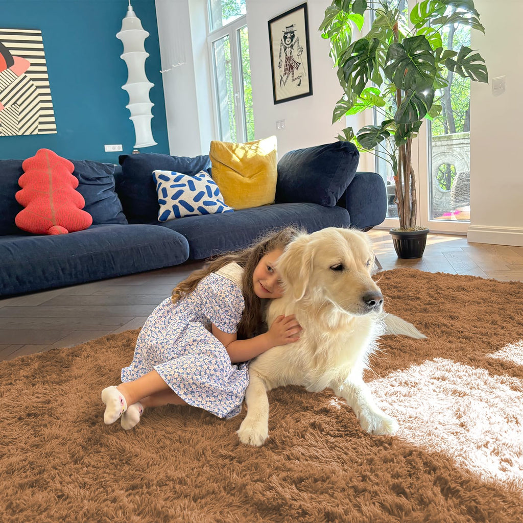 OLANLY 6x9 Machine Washable Large Area Rugs for Living Room, Bedroom, Soft Fluffy Shaggy Bedside Rug, Indoor Floor Carpet for Kids Girls and Boys, Dorms, Nursery, Home Decor Aesthetic, Khaki