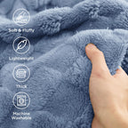 Bedsure GentleSoft Twin Blanket for Bed Ashley Blue - Super Soft Cozy Blankets for Kids Girls, Cute Fuzzy Fleece Throws for Bedroom Couch, 60x80 Inches