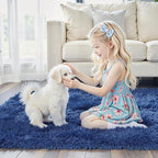 junhejiamei Fluffy Rug Shag Area Rug,Royal Blue 3x5 Area Rugs for Bedroom