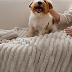 Bedsure GentleSoft King Size Blanket for Bed - Cozy Soft Blankets for Women, Cute Large Fleece Throws for Girls, Beige, 108x90 Inches