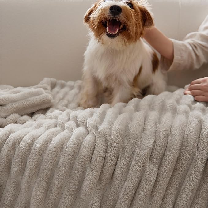 Bedsure GentleSoft Fleece Bed Blankets Full Size - Cozy Soft Blankets for Women, Cute Small Throws for Girls, Beige, 84x90 Inches