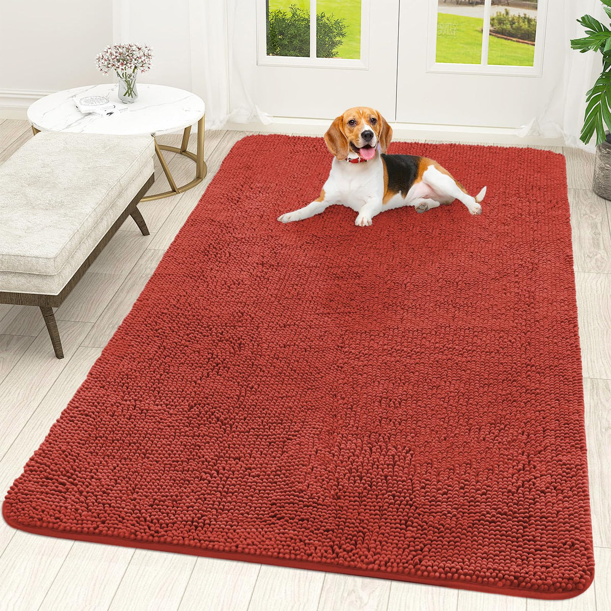 OLANLY Dog Door Mat for Muddy Paws 70x46, Super Absorbent Chenille Mud Mat
