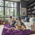 junhejiamei Fluffy Rug Shag Area Rug,Grape Purple 3x5 Area Rugs for Bedroom