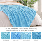 Exclusivo Mezcla Fleece Throw Blanket for Couch, Extra Large Fuzzy Blue Bed Blankets, Soft Cozy Plush Sofa Throws for All Seasons, 50x70 Inches