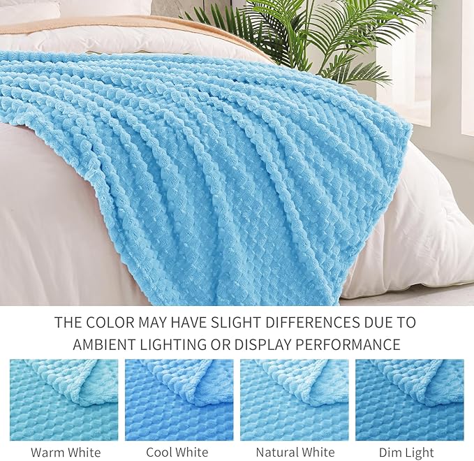 Exclusivo Mezcla Fleece Twin Blanket for Bed, Extra Large Fuzzy Blue Bed Blankets, Soft Cozy Plush Sofa Throws for All Seasons, 60x80 Inches