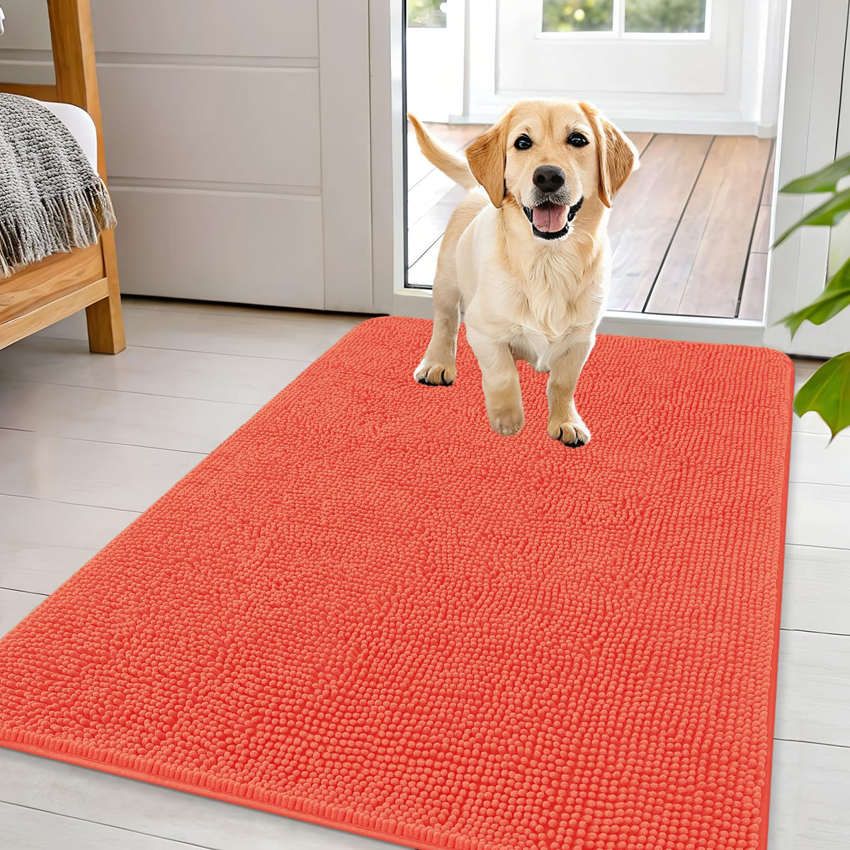 OLANLY Dog Door Mat for Muddy Paws 44x32, Super Absorbent Chenille Mud Mat