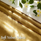 GIGIZAZA Gold Velvet Decorative Throw Pillow Covers 24x24 for Sofa Bed 2 Pack Soft Cushion Cover