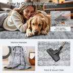 5x7 Area Rug for Living Room Bedroom, Non-Slip Washable Grey Carpet