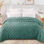 Exclusivo Mezcla Twin Size Flannel Fleece Blanket, Super Soft and Warm Lightweight Checkered Pattern Blankets for All Seasons, 60x80 Inches, Celadon