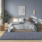 AROGAN 5x7 Area Rugs for Living Room Non Slip Dorm Bedroom Rug, Blue