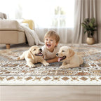 Restydon 4x6 Area Rugs for Living Room Non Slip Rugs for Bedroom, Orange