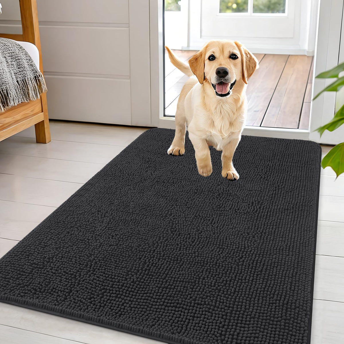 OLANLY Dog Door Mat for Muddy Paws 44x32, Super Absorbent Chenille Mud Mat