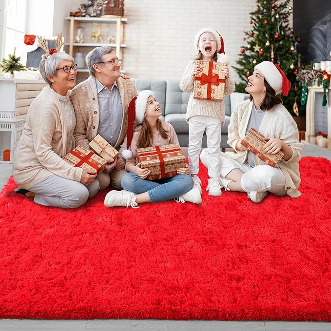 Chicrug Soft Area Rugs for Bedroom Living Room Plush Fluffy Rug 6x9
